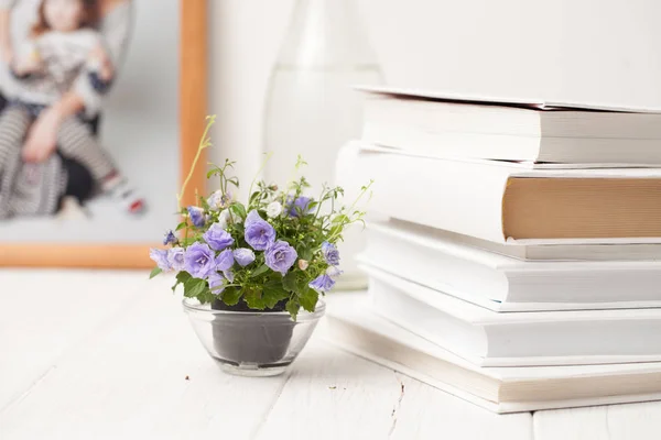 Bunga mekar kecil di atas meja kayu putih — Stok Foto