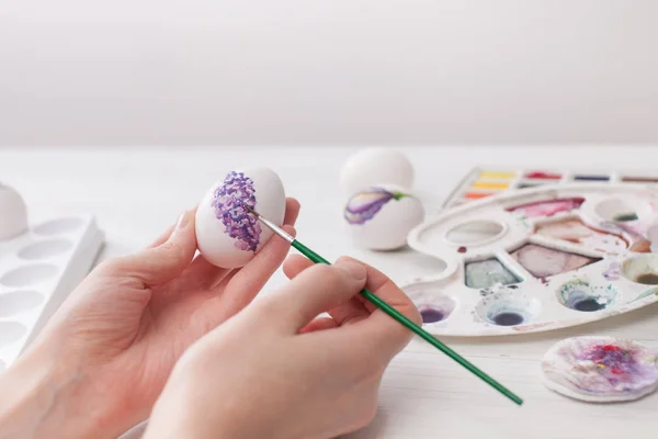Розмальовка кольори яєць на Великдень, ботанічна ілюстрація — стокове фото