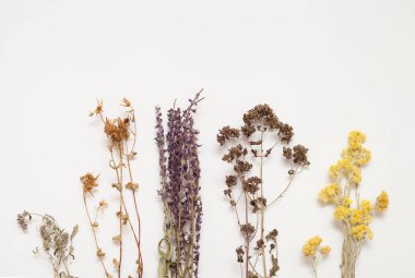 Hypericum, adaçayı, kekik, kekik, rengi bozulmayan çiçek