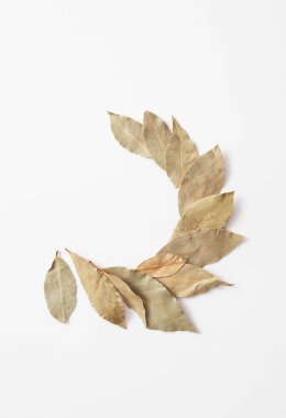 beyaz zemin üzerine defne Şubesi