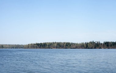 gökyüzü ve karışık orman bir ufuk tarafından ayrılmış su