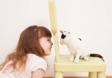 Beyaz bir kedi yavrusu ile oynayan bir çocuk