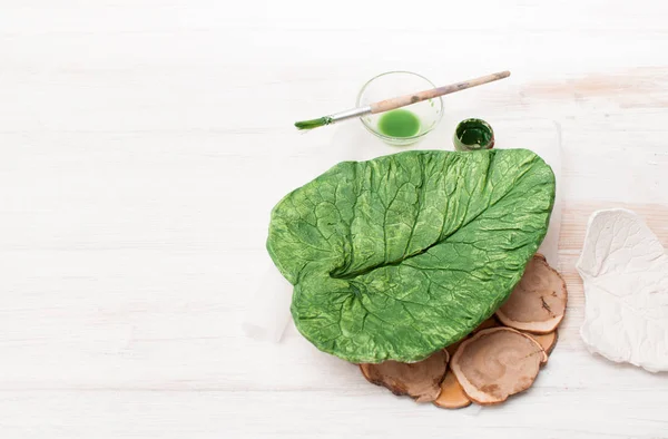 Pewarnaan bentuk daun gipsum pada warna putih — Stok Foto