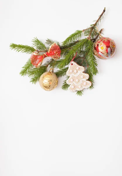 Il ramo di albero di pelo decorato con bagattelle e biscotti su bianco — Foto Stock