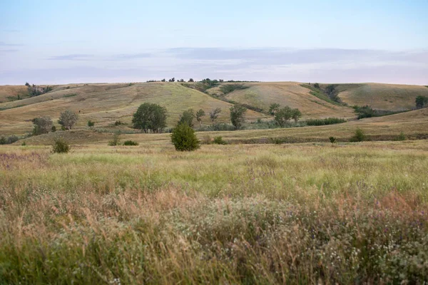 Morning in a field of grasses next to a hill — Stock Photo, Image