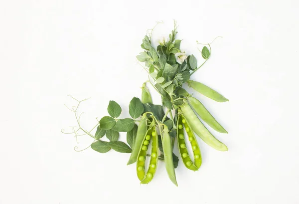 Зелений горох в стручках на рослину на білому старому столі — стокове фото