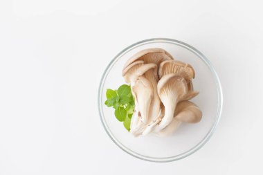 beyaz zemin üzerine çiğ istiridye mantar