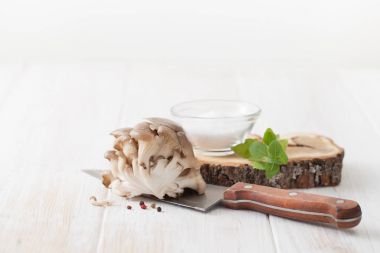 beyaz zemin üzerine çiğ istiridye mantar