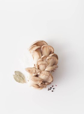 beyaz zemin üzerine çiğ istiridye mantar