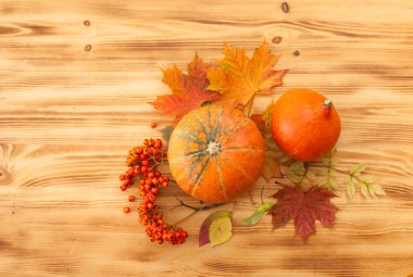 Kabak, sonbahar yaprakları, üvez meyveleri ahşap bir masa üzerinde