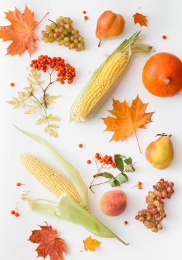 Mısır koçanı, üzüm, şeftali, armut ve sonbahar üzerinde Rowan ile beyaz bırakır.