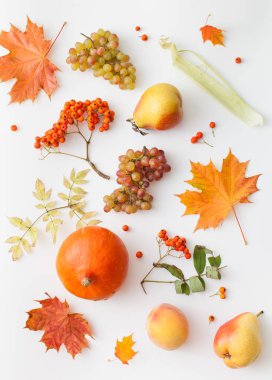 Üzüm, armut, kabak, şeftali ve sonbahar yaprakları Rowan ile beyaz