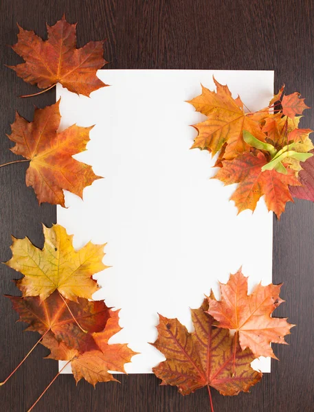 Beyaz arka plan üzerinde yaprak. Metin için yer.