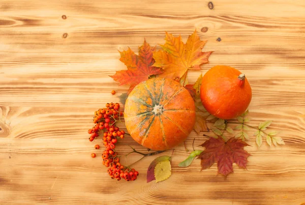 Kabak, sonbahar yaprakları, üvez meyveleri ahşap bir masa üzerinde