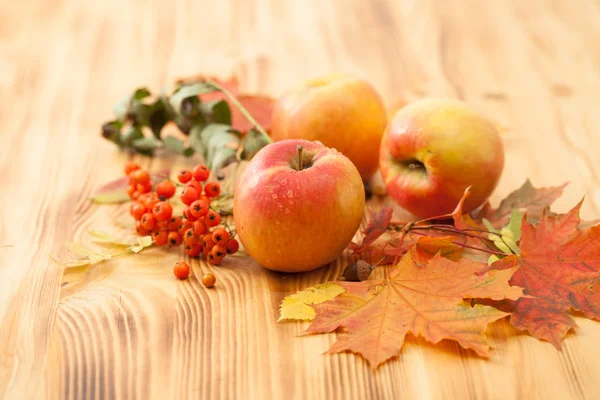Elma, sonbahar yaprakları, üvez meyveleri ahşap bir masa üzerinde — Stok fotoğraf