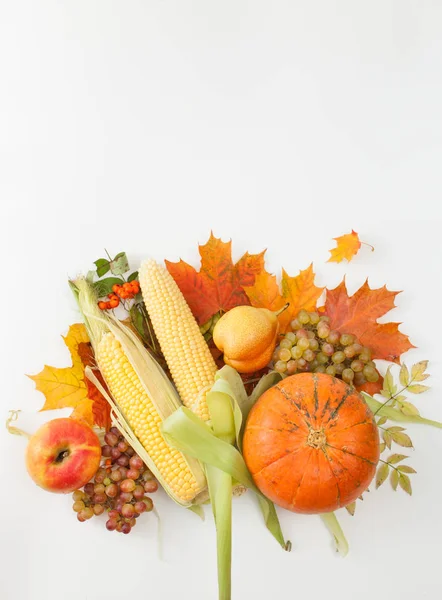 Kabak, elma, Mısır, armut, üzüm sonbahar yaprakları ve üvez