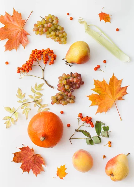 Üzüm, armut, kabak, şeftali ve sonbahar yaprakları Rowan ile beyaz