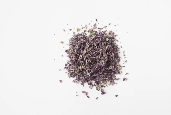 Dried flowers of sage on a white background — Stock Photo, Image