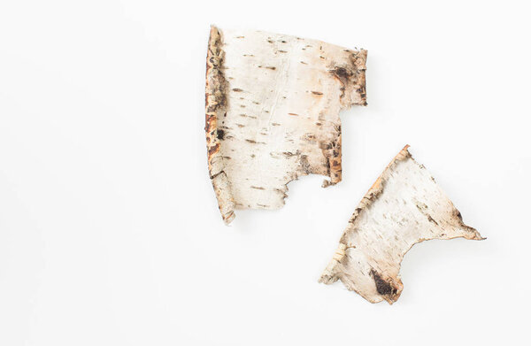Pieces of birch bark on a white background. Place for text.