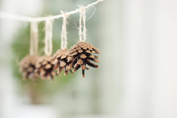 I coni di conifere sono sospesi da una corda. Posto per testo . — Foto Stock