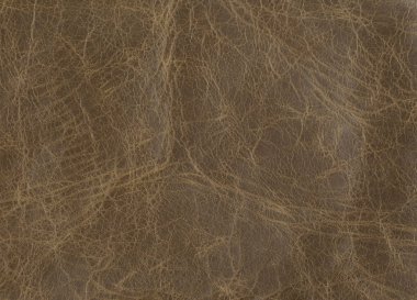 Şık deri yeşil hazırlanmış doku