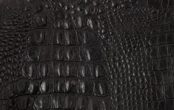 Texture en cuir de crocodile noir — Photo