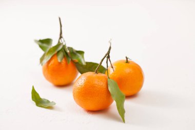 Beyaz zemin üzerine yeşil yaprakları ile taze mandalina