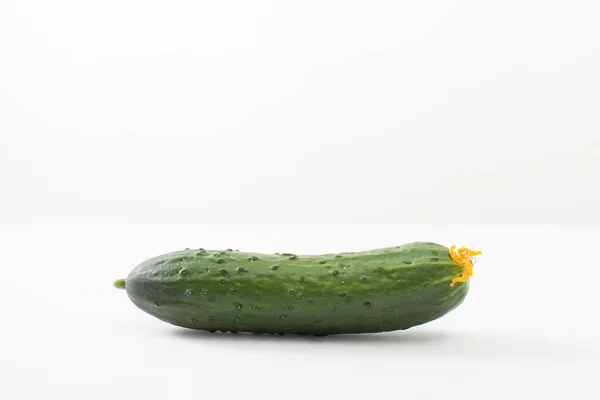 Cucumber with yellow flower on white background — Stock Photo, Image