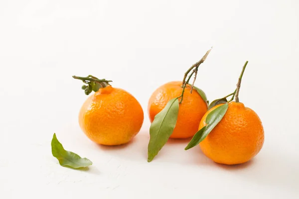 Mandarini freschi con foglie verdi su sfondo bianco — Foto Stock