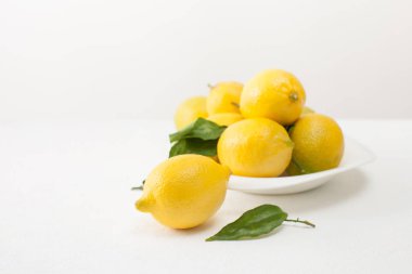 Limon ile yaprakları ve beyaz beton zemin üzerinde bir tabakta limon kesilmiş.