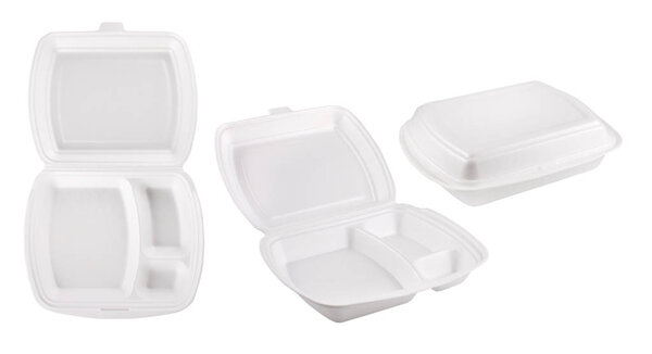 Disposable container for food isolated