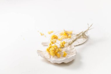 Beyaz bir tablo üzerinde kuru ot Helichrysum