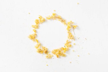 The dried herb Helichrysum form the circle clipart