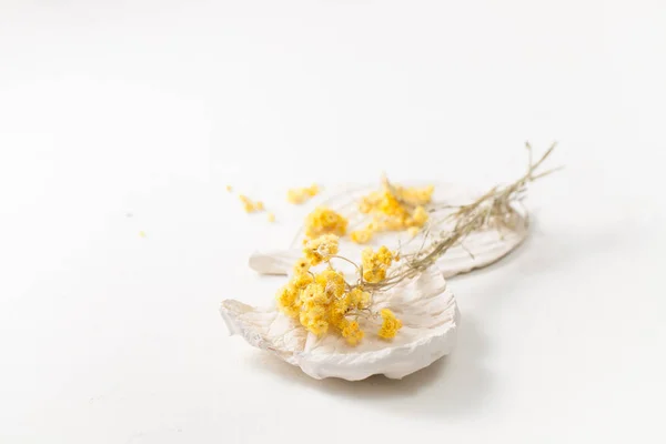 A szárított gyógynövény Helichrysum-egy fehér tábla — Stock Fotó