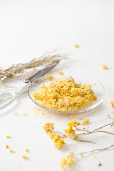 A erva secada Helichrysum em uma mesa branca — Fotografia de Stock
