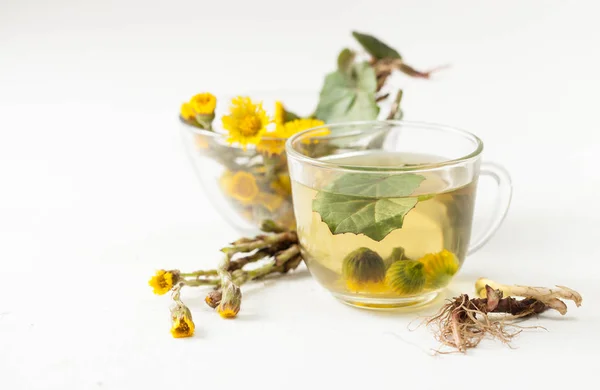 Tasse mit Aufguss von Huflattich und Blüten mit Blättern auf weißem Tisch. — Stockfoto