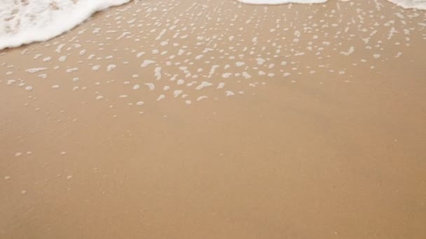 Een Schuimige Zeegolf Bedekt Zandkust — Stockvideo
