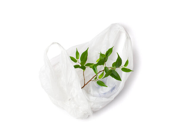 Concept of using self-decomposing eco-friendly packages. White package with a green twig