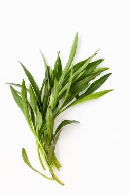 Beyaz arka planda Tarhun otu. Diğer otlarla birlikte, tarhun tuzun yerine geçebilir. Bunu hipertansif hastalar ve diyete ya da tuzsuz diyete bağlı insanlar için kullanmanız tavsiye edilir. Boşluk metnini kopyala.