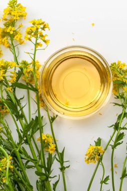 Beyaz arka planda surepka çiçekleri olan yassı kolza yağı kasesi. Tepeden tırnağa.
