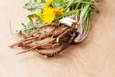 Young burdock roots with tops and flowers on a wooden background for use in folk herbal medicine. clipart