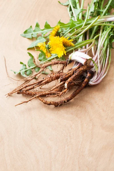 Raíces Diente León Floreciente Joven Con Hojas Sobre Fondo Madera — Foto de Stock