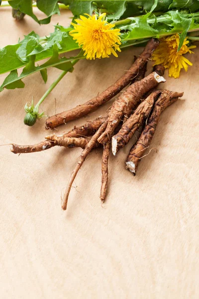 Junge Löwenzahnwurzeln Mit Blättern Und Gelben Blüten Auf Einem Hölzernen — Stockfoto