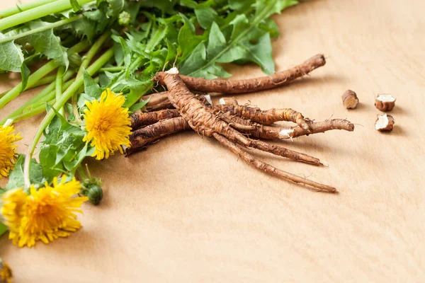 Young Raw Dandelion Roots Whole Cut Leaves Yellow Flowers Wooden — Stock Photo, Image