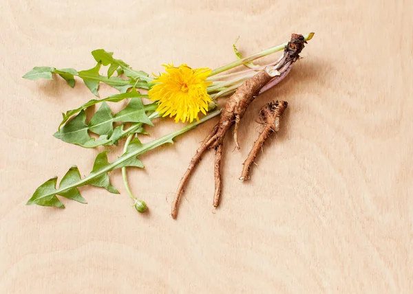 黄色の花やタンポポは 化粧品 医学で使用するための木製の背景に若い生のルーツを持つ葉 — ストック写真