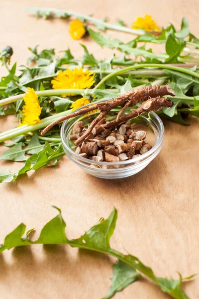 Young cut dandelion roots in a glass bowl with leaves and yellow flowers on a wooden background for use in cooking, cosmetology and medicine.