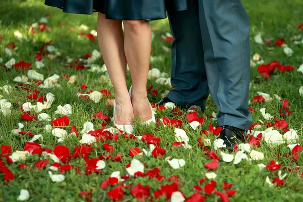 Paren benen op het gras met bloemblaadjes — Stockfoto