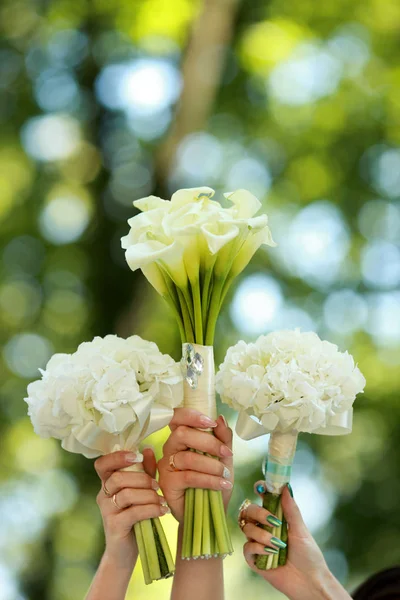 Gelinler beyaz calla çiçekler ve arkadaşları Buket buket. Düğün — Stok fotoğraf
