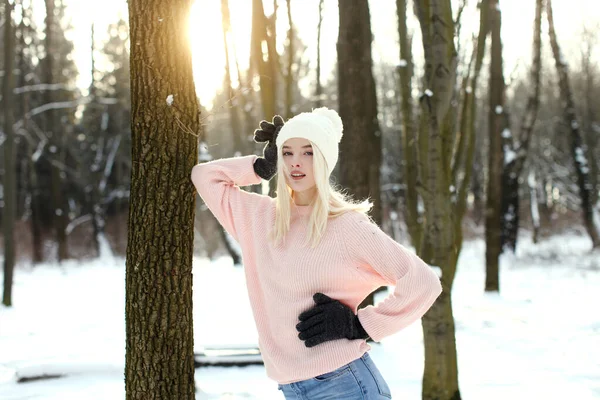 Bellezza donna nel paesaggio invernale — Foto Stock