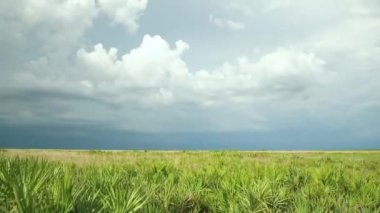 Karanlık fırtına Florida Prairie, 4 k üzerinde rulo
